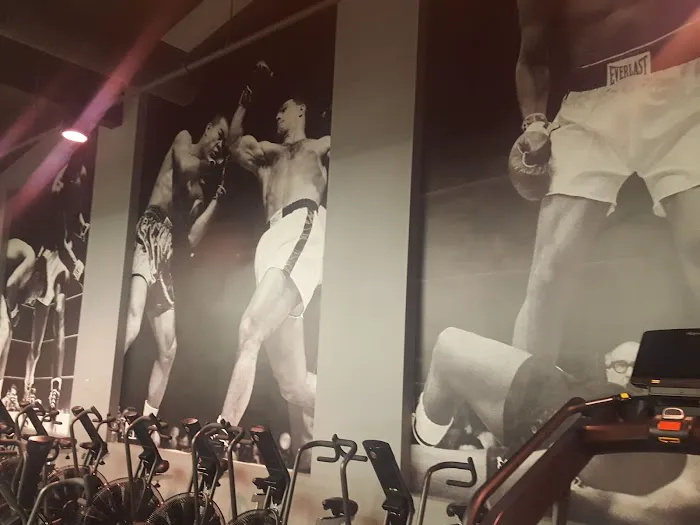 Undisputed Boxing Gym Picture 1