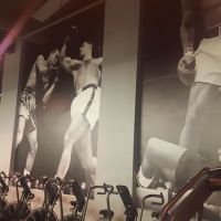Undisputed Boxing Gym ico
