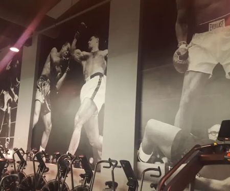 Undisputed Boxing Gym