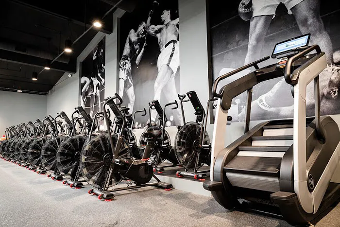 Undisputed Boxing Gym Picture 4