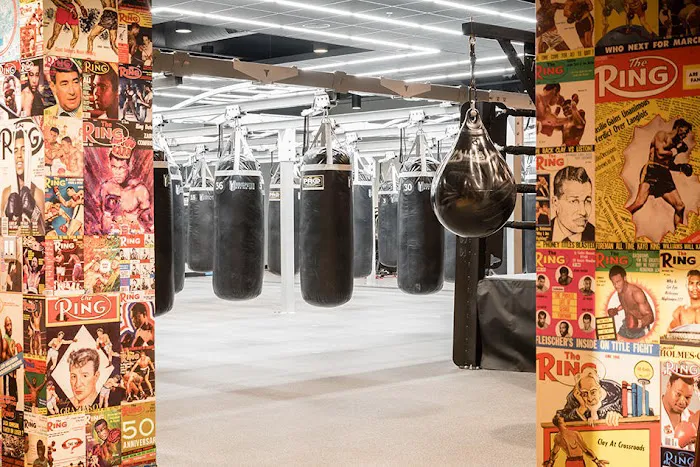Undisputed Boxing Gym Picture 9