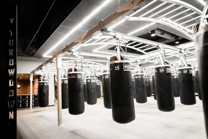 Undisputed Boxing Gym Picture 10