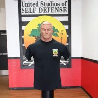 United Studios of Self Defense/Anthem Hills ico