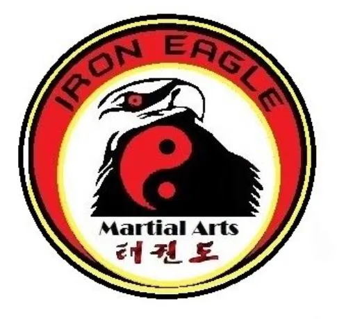 Iron Eagle Martial Arts Picture 1