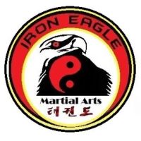 Iron Eagle Martial Arts ico