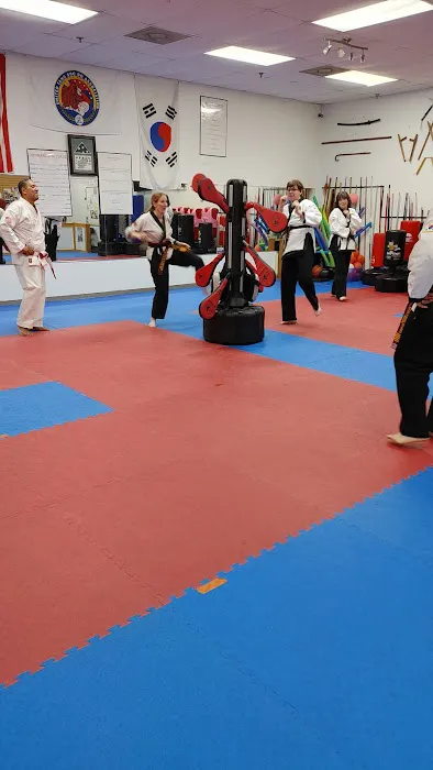 Family Karate Center Picture 3