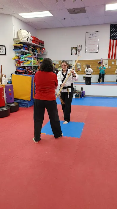Family Karate Center Picture 4