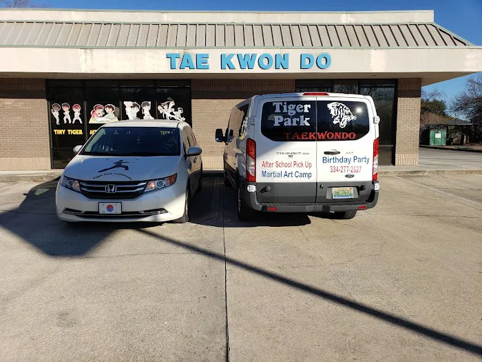 Tiger Park Taekwondo Picture 8