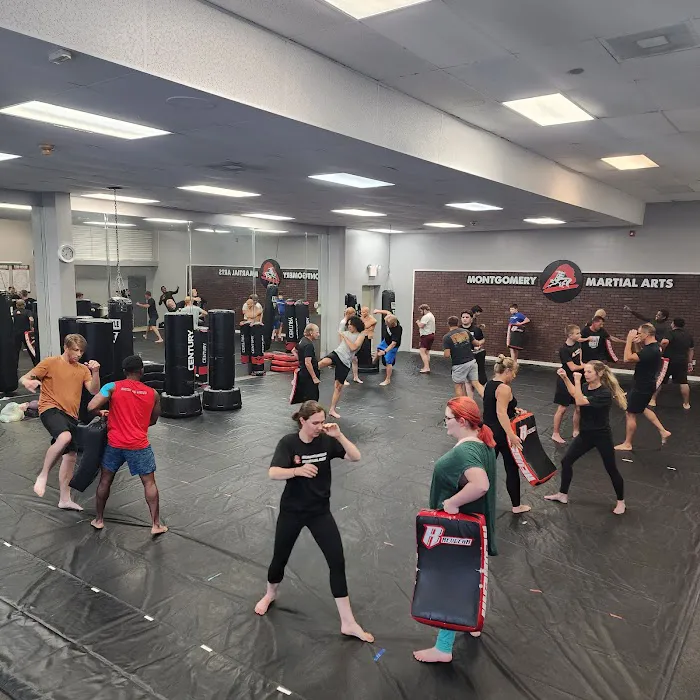 Montgomery Martial Arts Picture 6