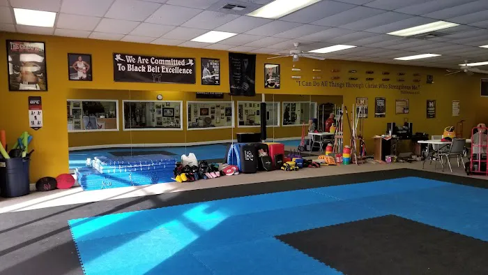 Johnson’s Martial Arts Academy Picture 5