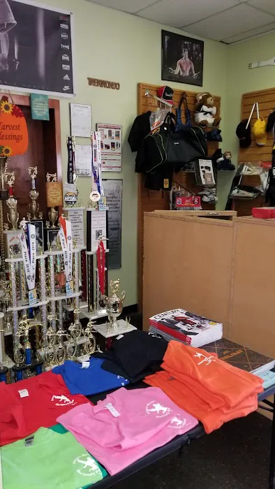Johnson’s Martial Arts Academy Picture 3