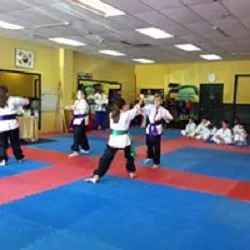 Fleming's Martial Arts Picture 10