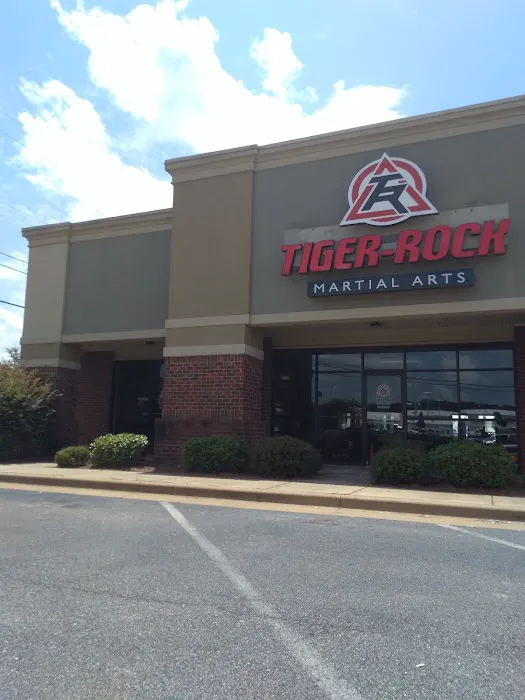 Tiger Rock Martial Arts of Prattville Picture 4