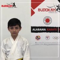 Budokan karate do ico