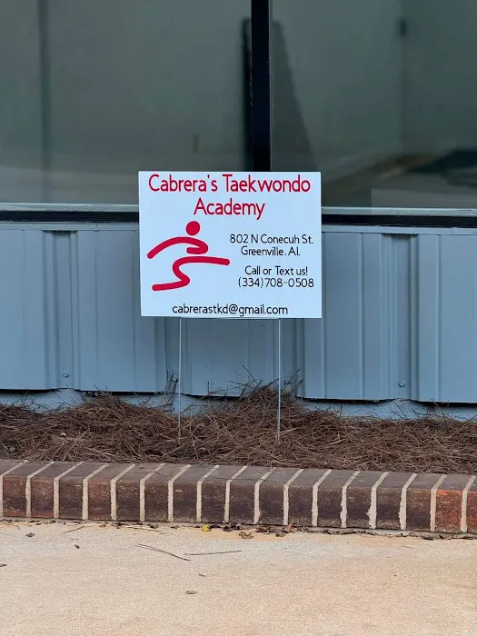 Cabrera's Taekwondo Academy Picture 9
