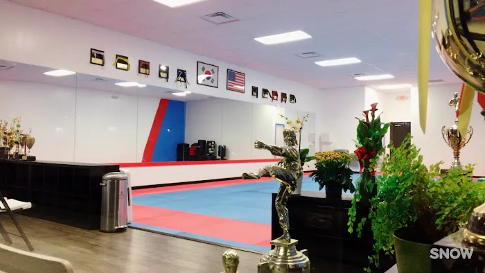 World Champion Taekwondo Picture 4