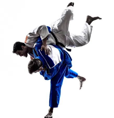 Impact Martial Arts Picture 3