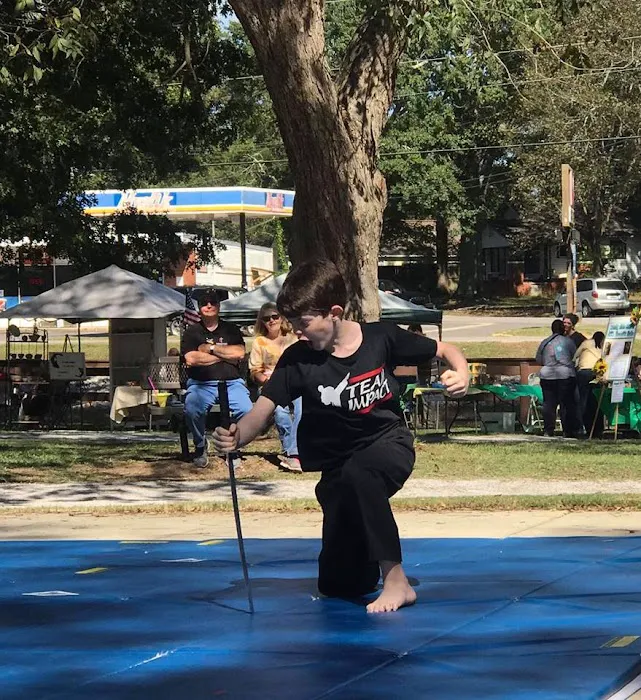 Impact Martial Arts Picture 7