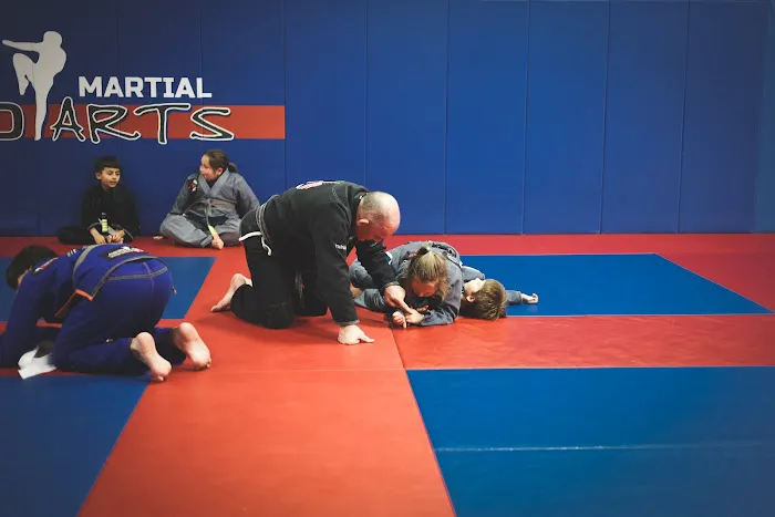 Auburn Mixed Martial Arts Picture 2