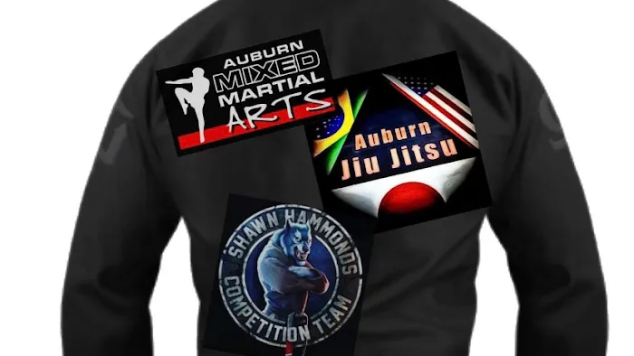 Auburn Mixed Martial Arts Picture 3