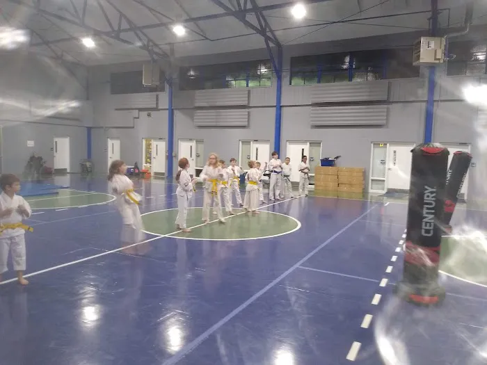 Auburn Karate Picture 1