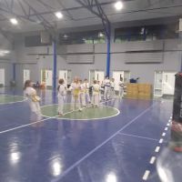Auburn Karate ico