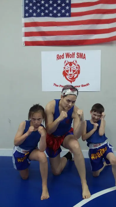 Red Wolf School of Martial Arts Picture 1