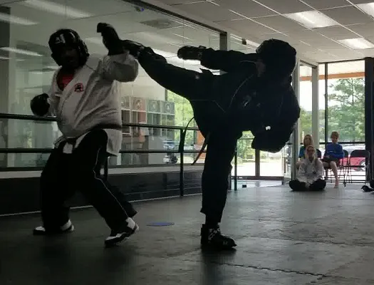Tiger-Rock Martial Arts - Alabaster Picture 7
