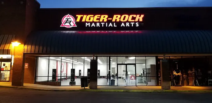 Tiger-Rock Martial Arts - Alabaster Picture 6