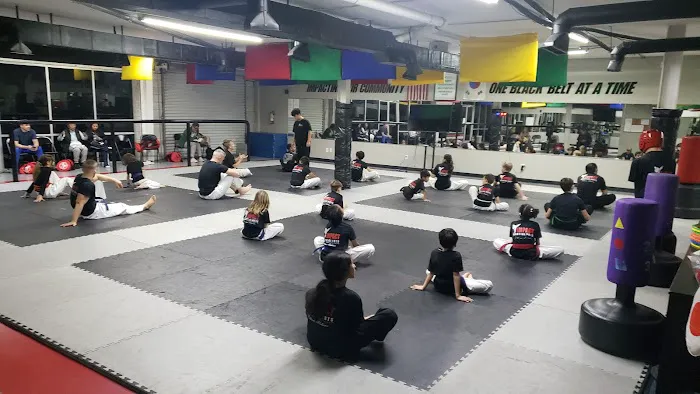 Impact Martial Arts Picture 5