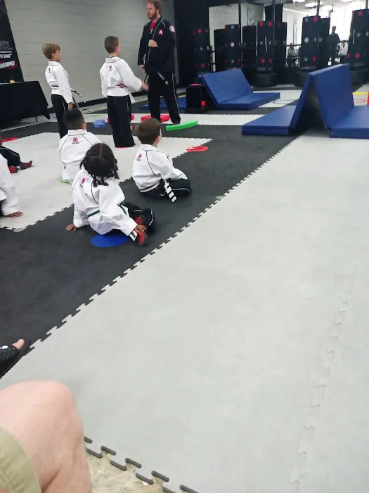 Pelham Tiger Rock Martial Arts Picture 2