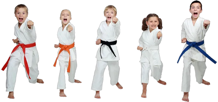 Pelham Tiger Rock Martial Arts Picture 5