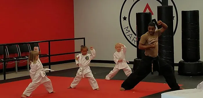ATA Action Martial Arts Picture 4