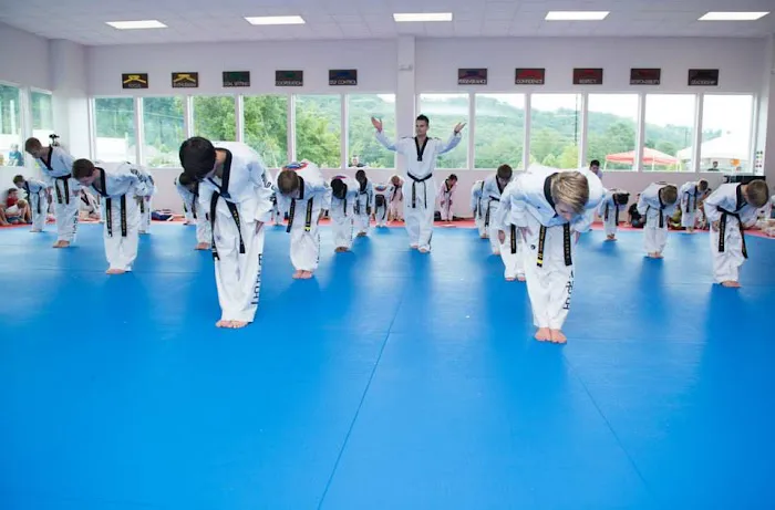 Master Scarsella’s World Class Tae Kwon Do Picture 5