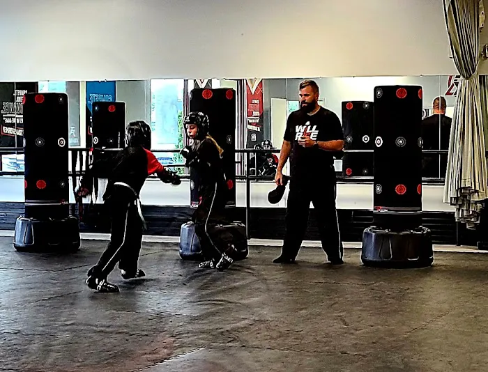 Tiger Rock Martial Arts Greystone Picture 2