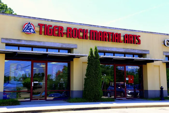 Tiger Rock Martial Arts Greystone Picture 4