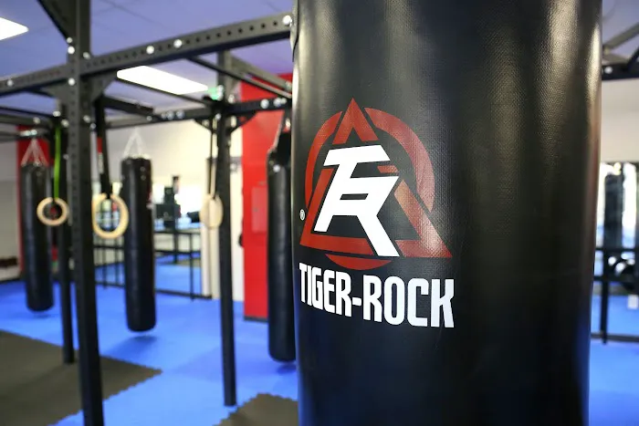 Tiger Rock Martial Arts Greystone Picture 9