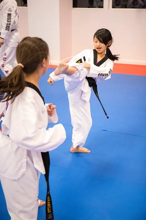 Master Scarsella's World Class Tae Kwon Do Picture 10