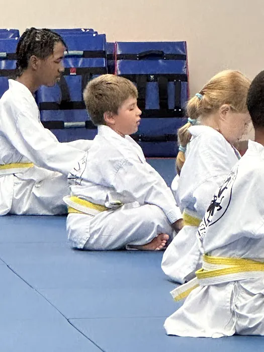 Master Scarsella's World Class Tae Kwon Do Picture 4