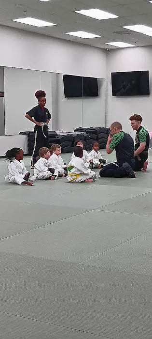 The Dojang Martial Arts & Fitness Picture 1