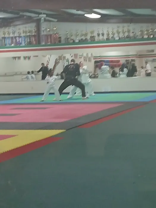 Won's Martial Arts Academy Picture 5