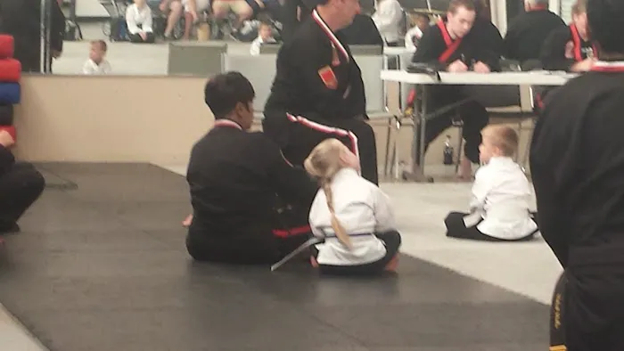 Momentum Taekwondo Plus Picture 1
