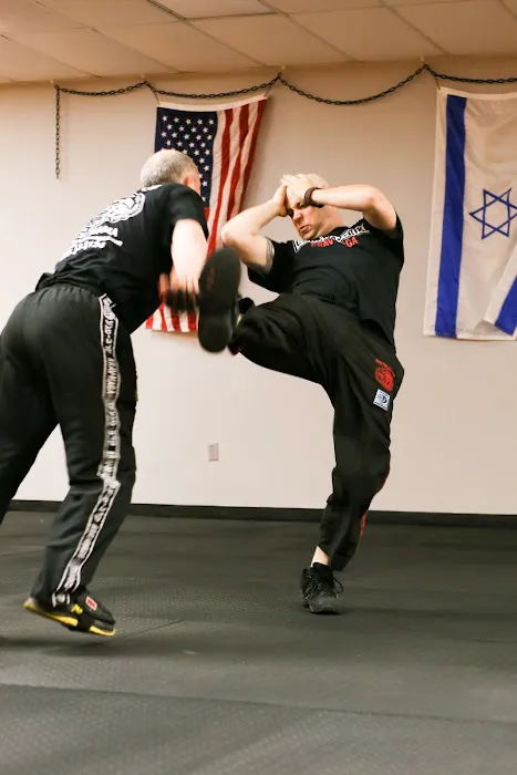 CounterStrike Krav Maga Picture 5