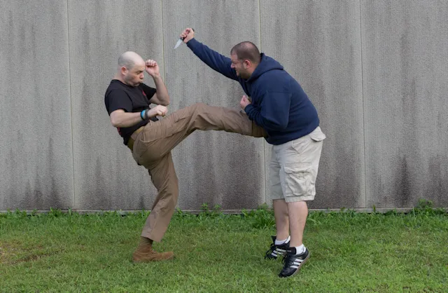 CounterStrike Krav Maga Picture 10