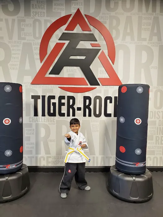 Tiger Rock Martial Arts of Hoover Picture 3