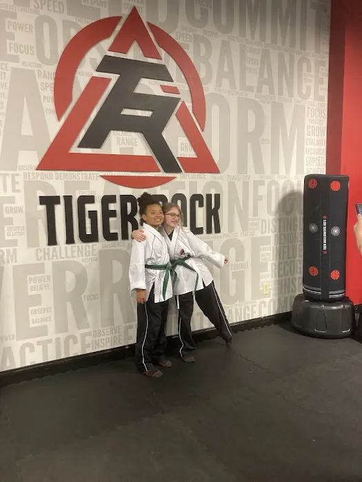 Tiger Rock Martial Arts of Hoover Picture 1