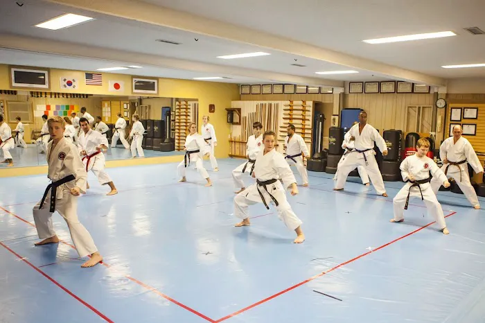 USA Martial Arts Picture 1