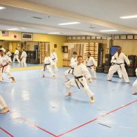 USA Martial Arts ico