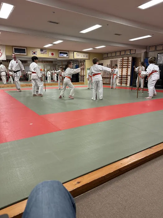 USA Martial Arts Picture 3