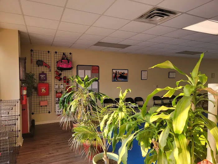 Hueytown Taekwondo Academy Picture 5